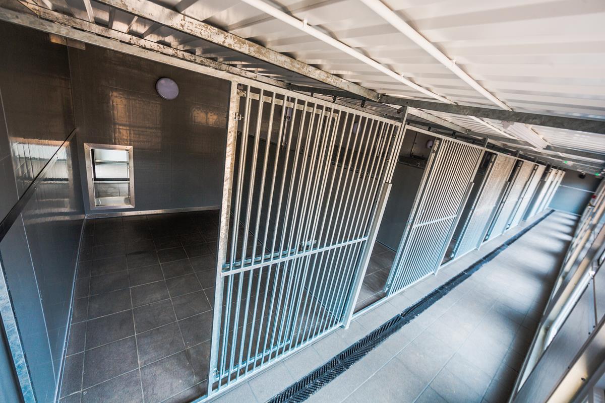 Kennelbuild chosen for luxury dog boarding facility